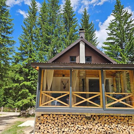 Black Lake Chalet Žabljak Εξωτερικό φωτογραφία