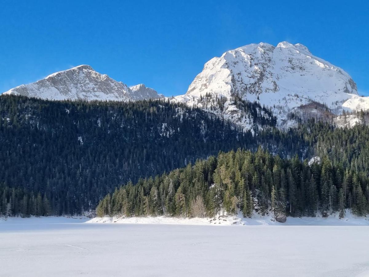 Black Lake Chalet Žabljak Εξωτερικό φωτογραφία