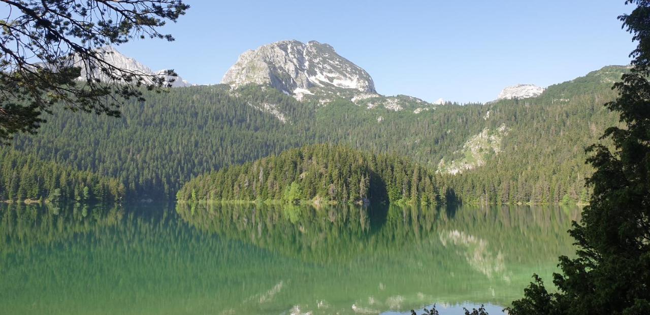 Black Lake Chalet Žabljak Εξωτερικό φωτογραφία