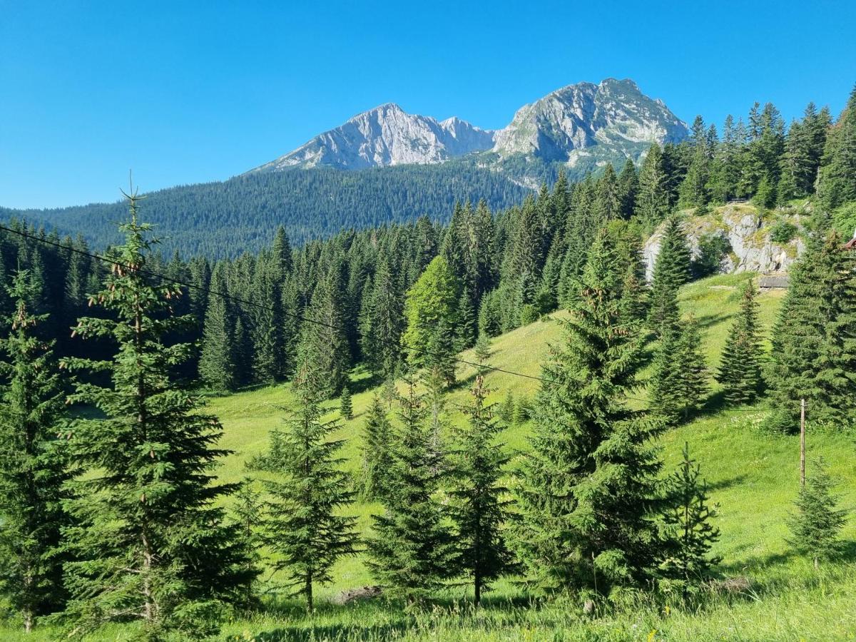 Black Lake Chalet Žabljak Εξωτερικό φωτογραφία