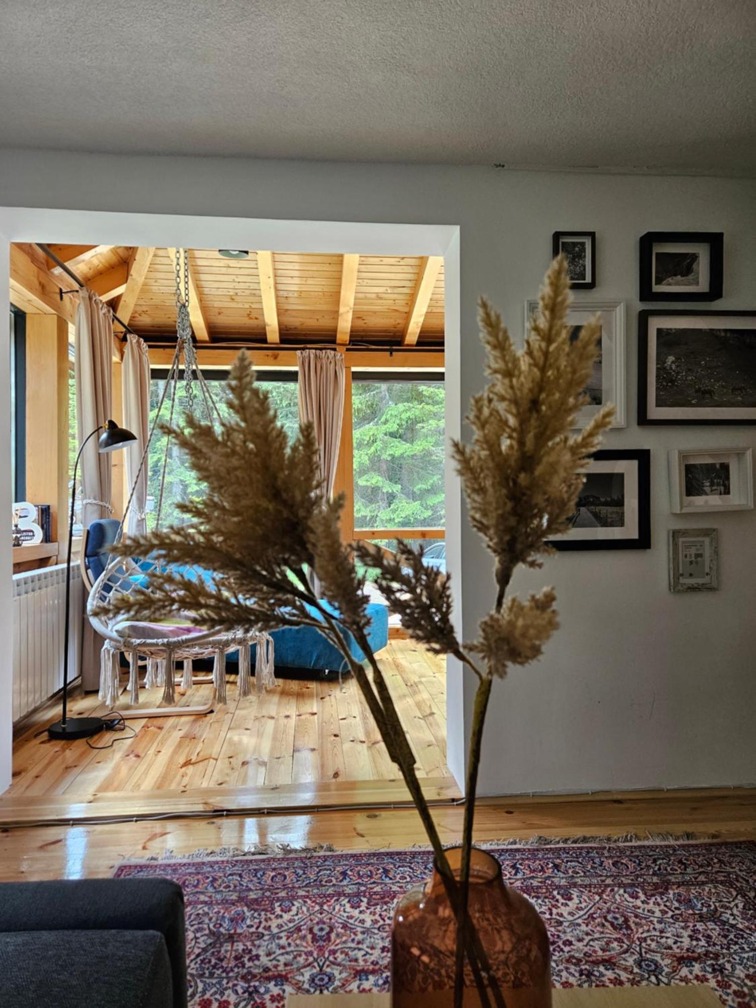 Black Lake Chalet Žabljak Εξωτερικό φωτογραφία