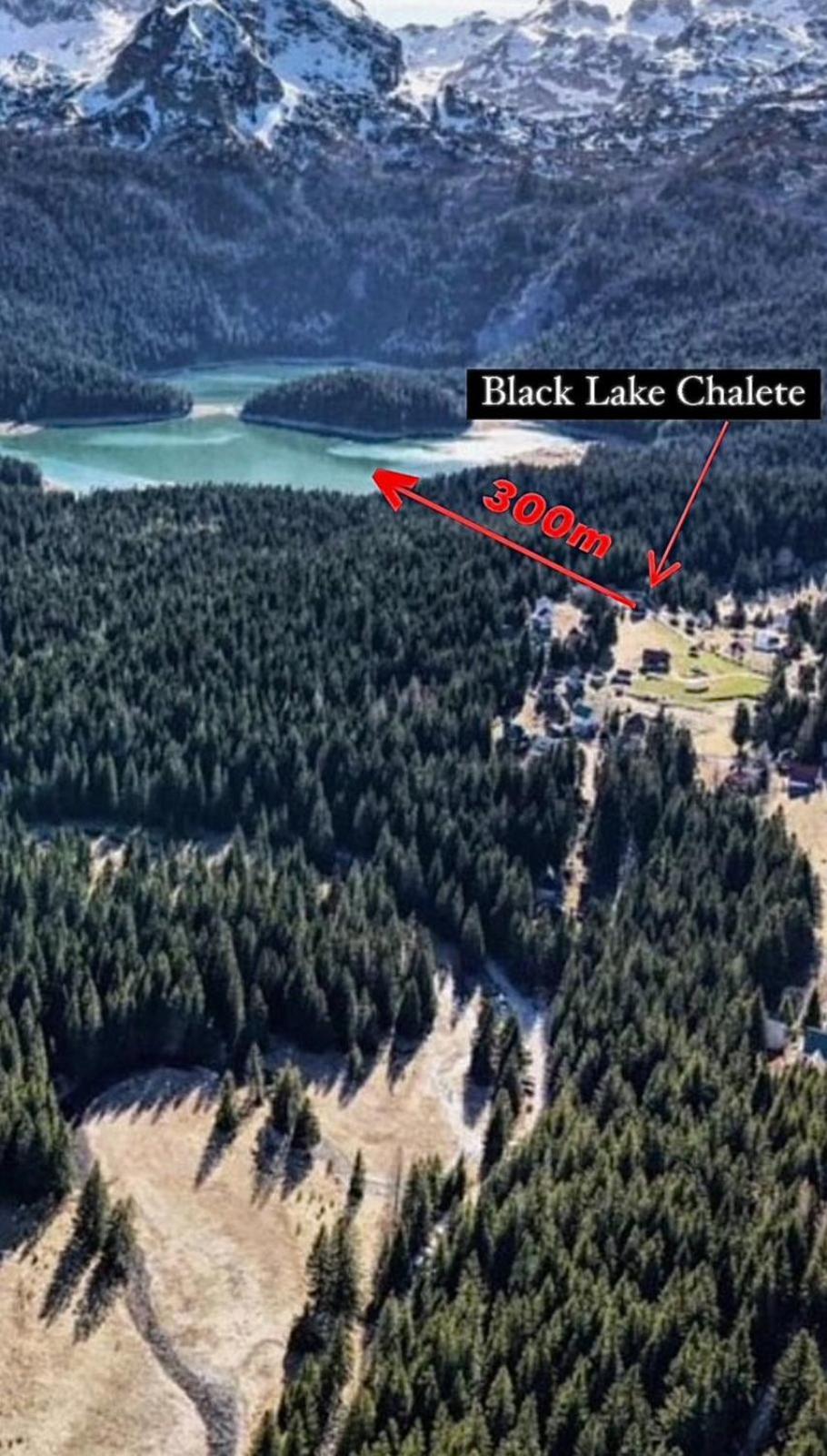 Black Lake Chalet Žabljak Εξωτερικό φωτογραφία